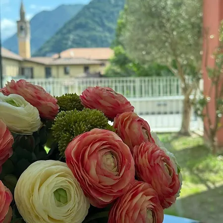 Borgo Vico Luxury Apartment